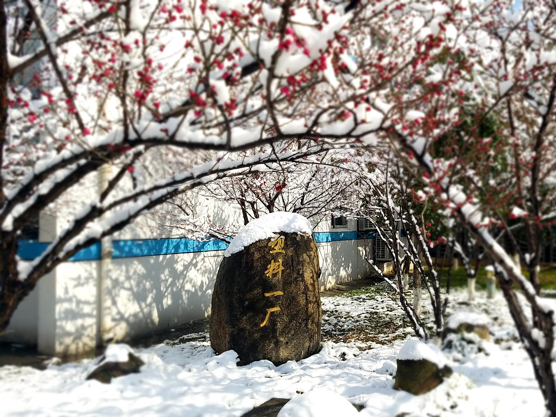 故事承載企業價值觀